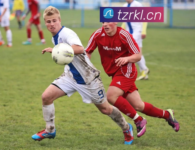 辅助工具 辅助工具